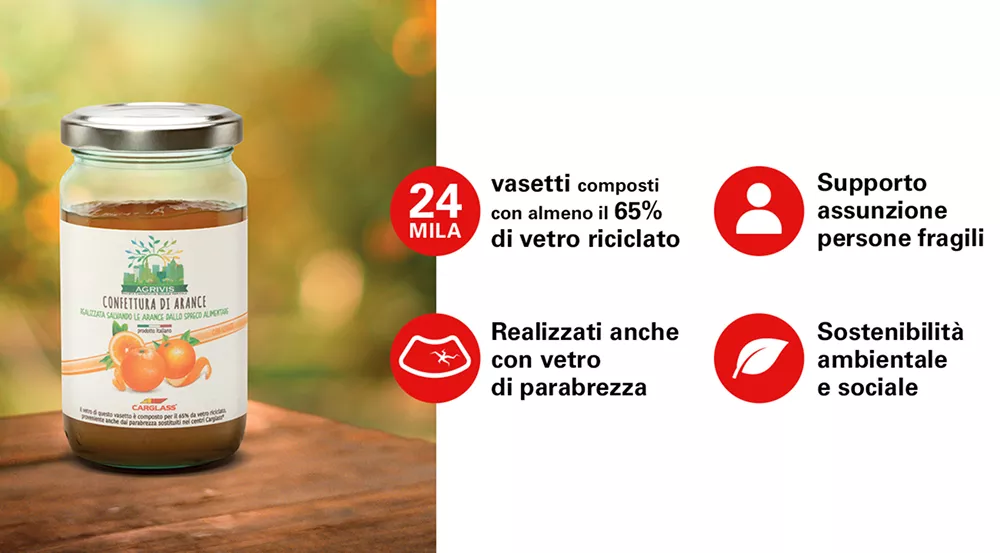 collaborazione di carglass con agrivis